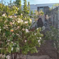دارای-دو-حیاط-اقابابا-دشتابی