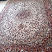 قالی کاشان نو تمیز|فرش|بندر امام خمینی, |دیوار