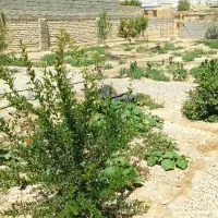 باغ ویلا۷۰۰ متری داخل طرح هادی|فروش خانه و ویلا|اژیه, |دیوار