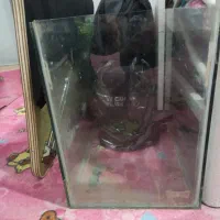 اکواریوم
