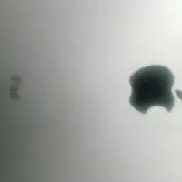 فرفتی اقتصادی،ایپد3/ipad3/بسیار تمیز و مسافرتی|تبلت|تهران, شادمان|دیوار