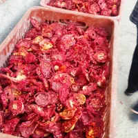 گوجه فرنگی خشک شده اسلایسی