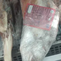 گوشت منجمد وارداتی گوسفندی|حراج|کرمان, |دیوار