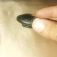 سنگ عتیقه|کلکسیون اشیاء عتیقه|قم, ولیعصر|دیوار