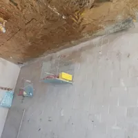 فروش عروس هلندی|پرنده|مشگین شهر, |دیوار