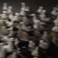 فروش اردک|حیوانات مزرعه|طاهرگوراب, |دیوار