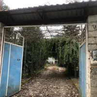 باغ ۱۰۵۰ متری باویلای دو طبقه با دید کوه و دریا|فروش خانه و ویلا|رامسر, |دیوار