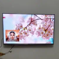 تلویزیون ال ای دی۴۳ الجی