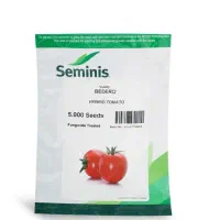 فروش انواع بذر های گلخانه ای و فضای باز|خدمات باغبانی و درختکاری|میناب, |دیوار