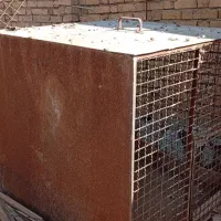 سلام قفس محکم برای سگ خروس