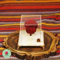 باکس گل رز جاودان طبیعی پایه سنگی برای هدیه تولد