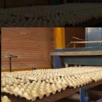 استخدام نیروی کار