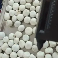 کارشناسی گوهر شناسی سنگ الماس خرید فروش شهاب