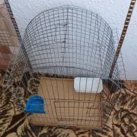 قفس پرنده عروس هلندی وسره بفروش میرسد|لوازم جانبی حیوانات|مشکیندشت, |دیوار