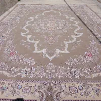 قالی ۱۲متری رنگ گردویی در حد نو