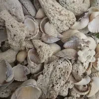 تعدادی وسایل آکواریوم فروخته میشود