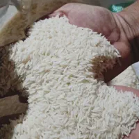 برنج دم سیاه اعلا
