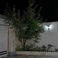 خانه ویلایی در بکرترین موقعیت|فروش خانه و ویلا|رشت, لاکان|دیوار