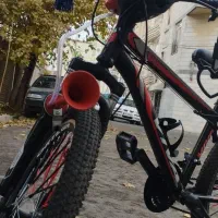 دوچرخه ۲۴ کاستوم