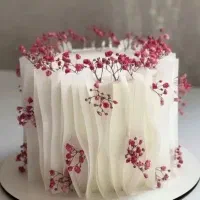 کیک خانگی و تازه پخت