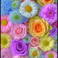 به پزشک عمومی برای مسئول فنی نیازمندیم