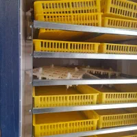 دستگاه جوجه کشی ۱۸۵۰ تایی|لوازم جانبی حیوانات|شهرکرد, |دیوار