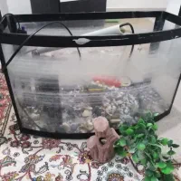 آکواریوم با تمام تجهیزات
