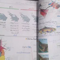 جزوه کل جانوری استاد همدانی