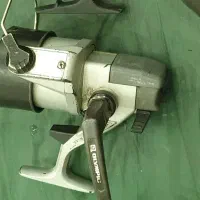 لنسر ماهیگیری