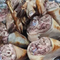 کوی معین زاده|خوردنی و آشامیدنی|اهواز, معین زاده|دیوار