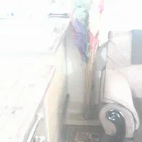 گلدون صحیح و سالم