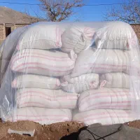 فروش کاه لوبیا کاه سفید