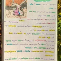 آموزش دروس مدرسه متوسطه اول ، دوم و دوره ابتدایی