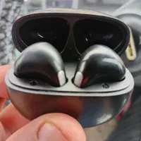 معاوضه ارپاد و ماشین صورت زنی با انواع پرنده