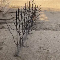 تولید حفاظ شاخ گوزنی ، حفاظ نیزه آبشار|مصالح و تجهیزات ساختمان|تهران, خانی آباد نو جنوبی|دیوار