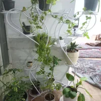 گلدان با استند