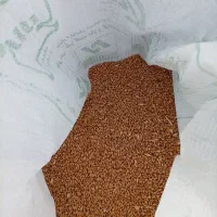 بذر گندم آرامش