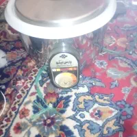 پلوپز برقی ‌پارس خر