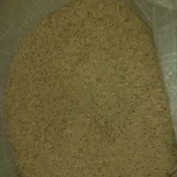 برنج هاشمی کشت دوم|عمدهفروشی|مشگین شهر, |دیوار