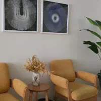 دوعدد تابلو نخ ابریشم کاملا آکبند و زیبا