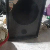 باندجاسکو اکو الجی میکروفون