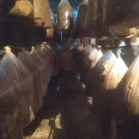 کود،کمپوست رایگان