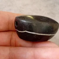 مهره درشت دو پوست باستانی