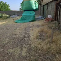 فروش کاه گلرنگ تحویلی