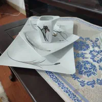 ظروف چینی TOOS|ظروف سرو و پذیرایی|آمل, |دیوار