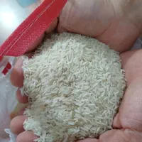 برنج درجه یک پاکستانی فروش تناژ