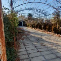 سرایدار باغ آشنا به نگهداری کبوتر