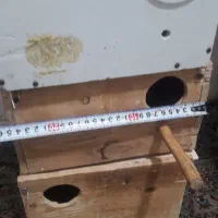 قفس لونه کوتوله