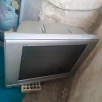 تلویزیون|تلویزیون و پروژکتور|رامهرمز, |دیوار