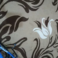 ۲عدد گلیم فرش ۹متری